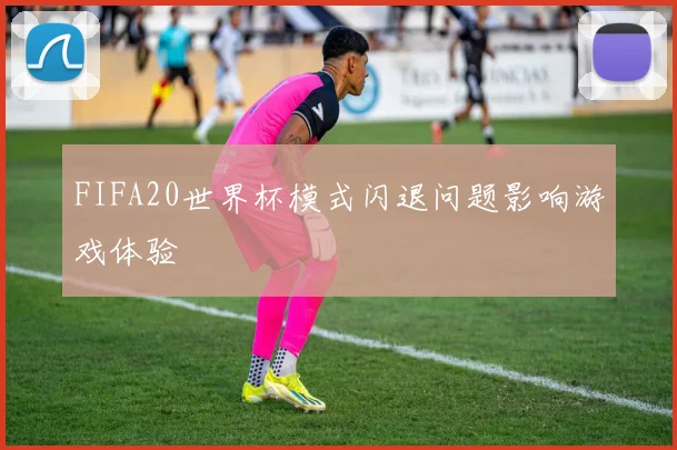 FIFA20世界杯模式闪退问题影响游戏体验