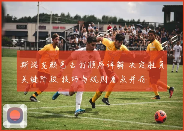 斯诺克颜色击打顺序详解 决定胜负关键阶段 技巧与规则看点并存