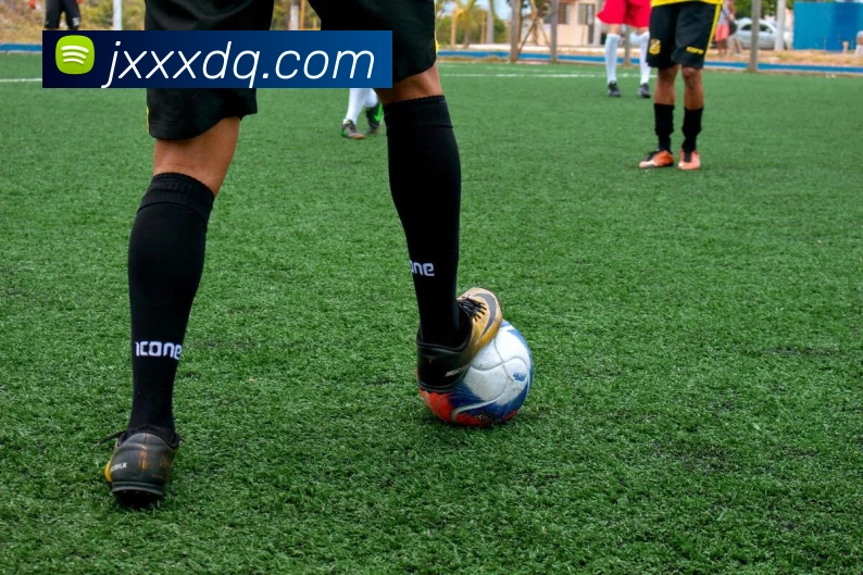 世界杯官方网络平台平台生态图